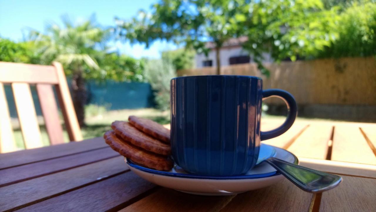 Bed & Breakfast Fleurs De Cosmos Albi