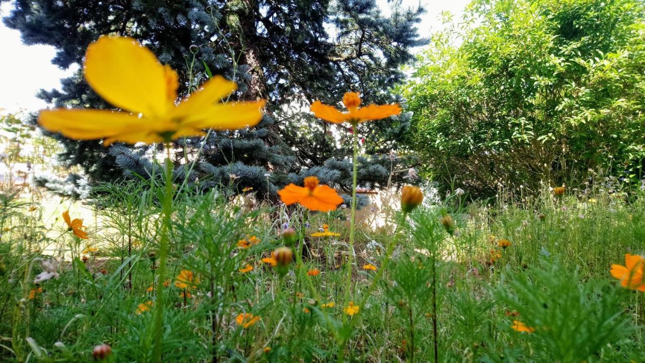 Fleurs De Cosmos Bed & Breakfast *