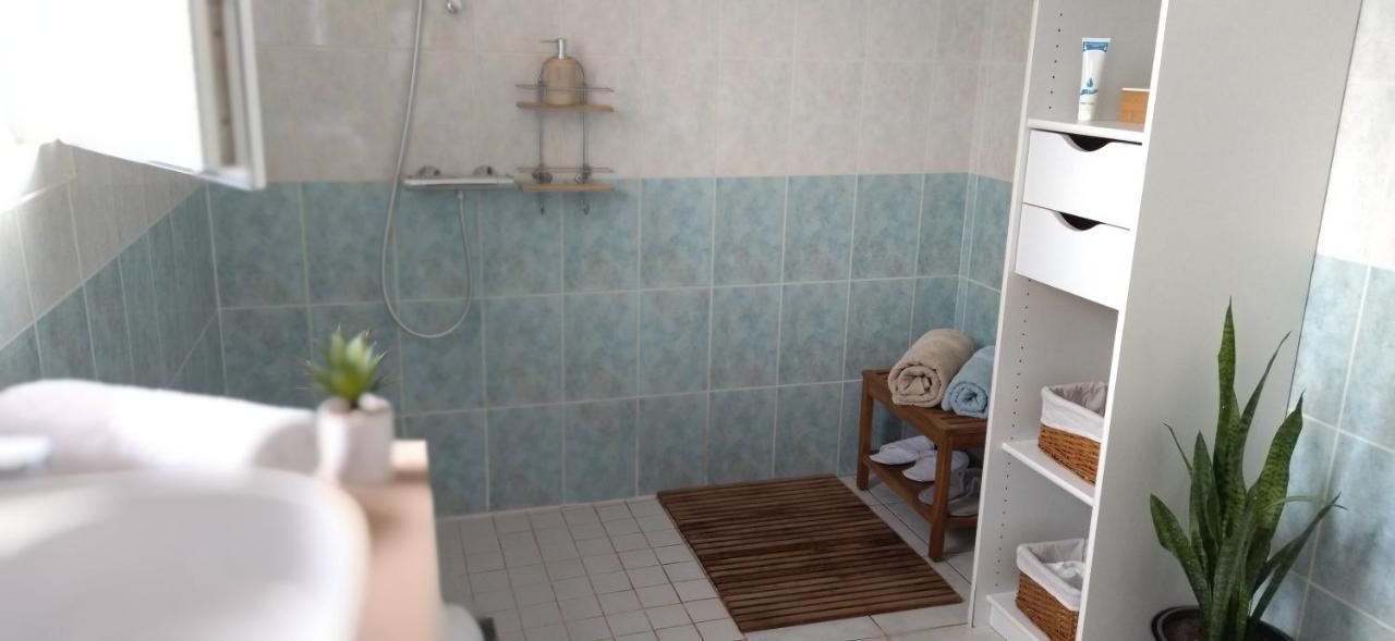 Fleurs De Cosmos Bed & Breakfast Albi